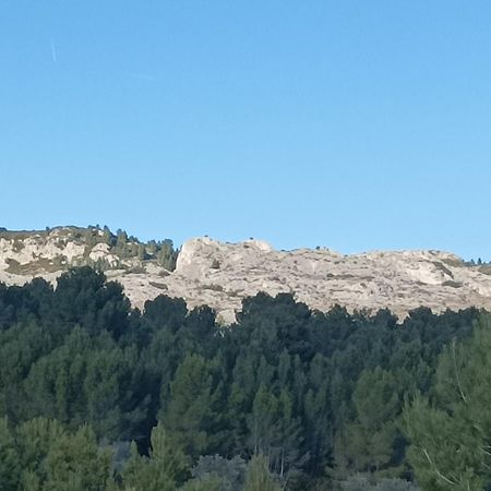 Chambre D'Hote Au Coeur Des Alpilles ムリエス エクステリア 写真