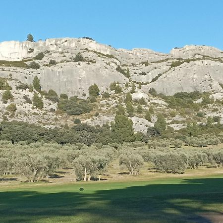 Chambre D'Hote Au Coeur Des Alpilles ムリエス エクステリア 写真