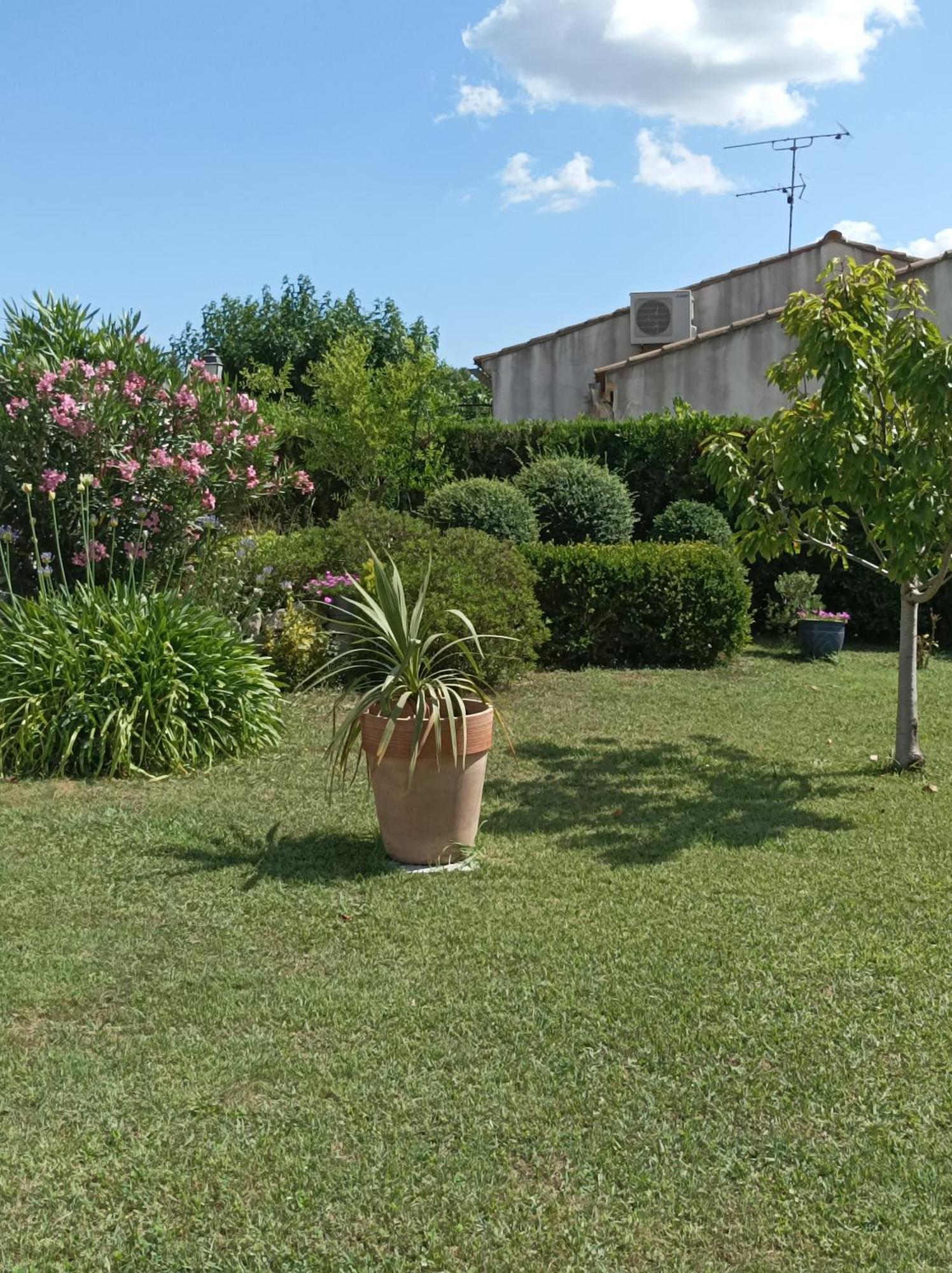 Chambre D'Hote Au Coeur Des Alpilles ムリエス エクステリア 写真
