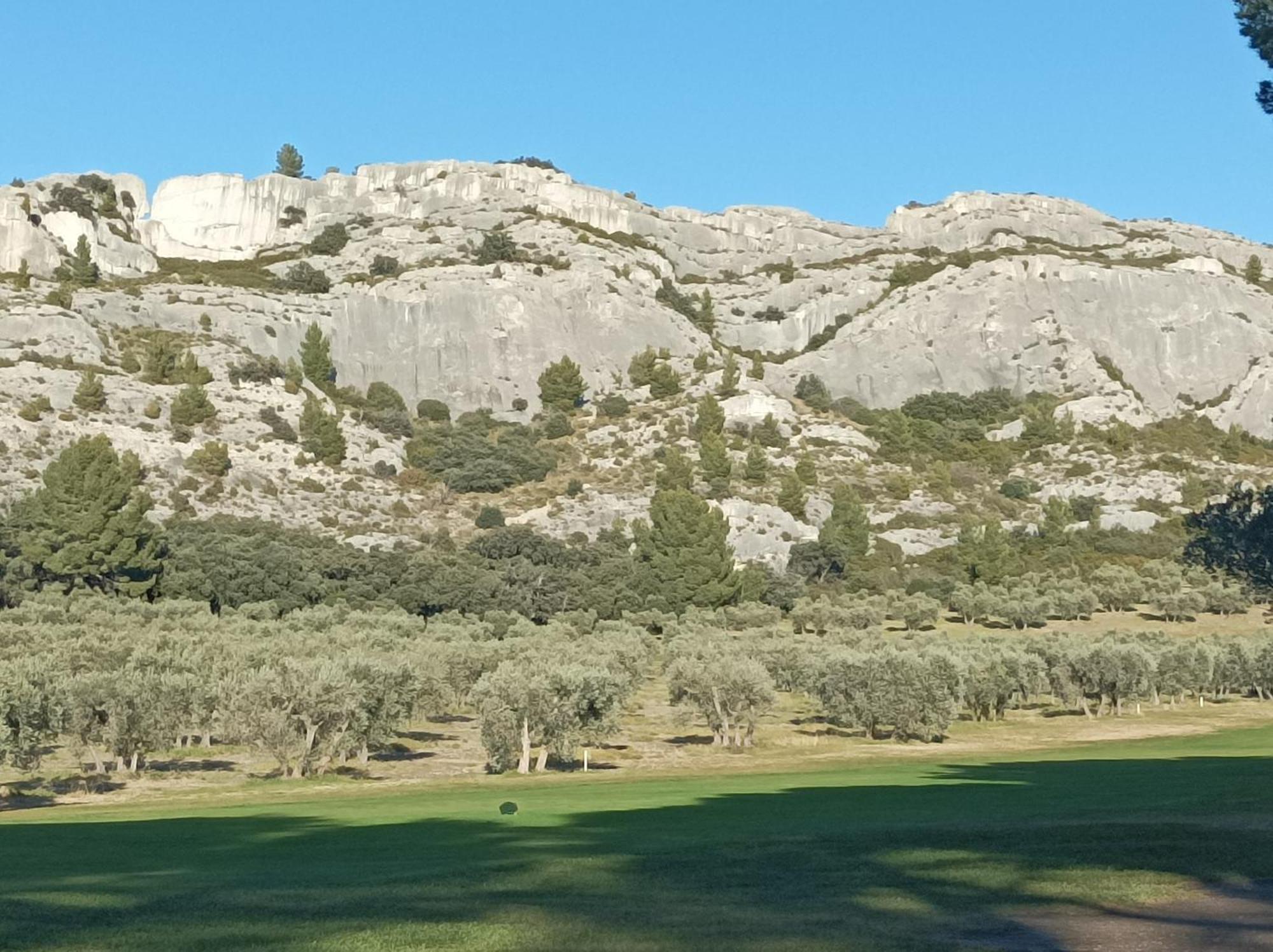 Chambre D'Hote Au Coeur Des Alpilles ムリエス エクステリア 写真